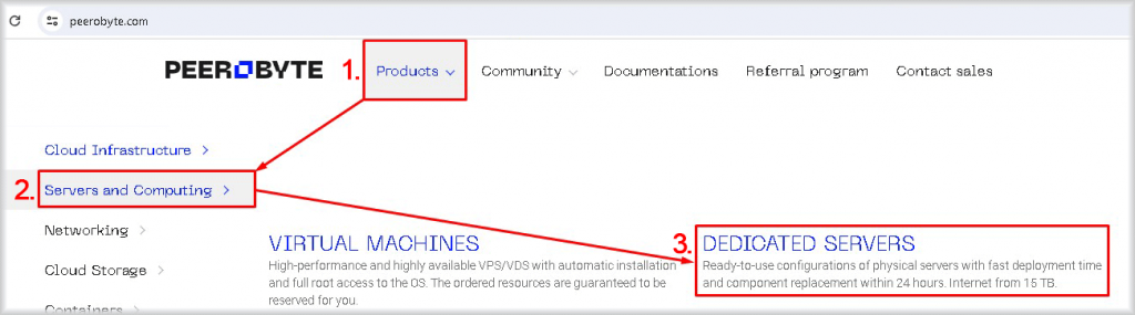 Access to the dedicated server control panel from the site