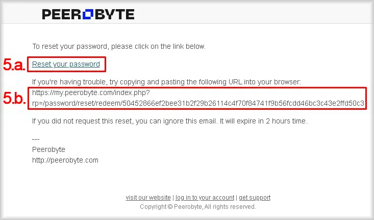 The email from Pyrobyte with links to reset a lost password.