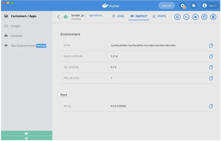 Docker Entities, Container